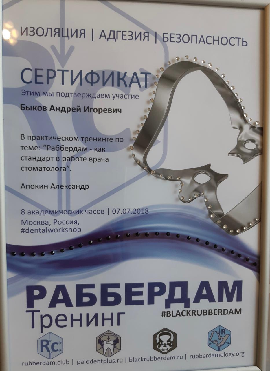 Сертификат — Быков Андрей Игоревич