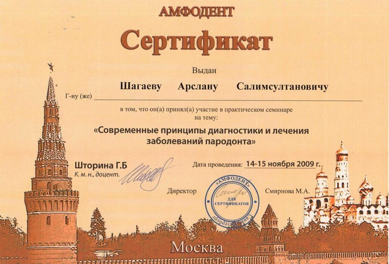 Сертификат — Шагаев Арслан Салимович